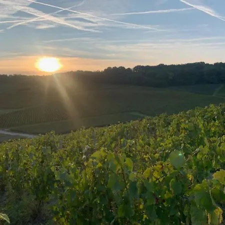 Sur La Route Touristique Du Champagne