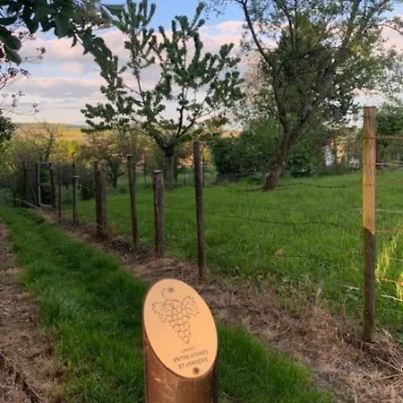 Sur La Route Touristique Du Champagne Апартаменты *
