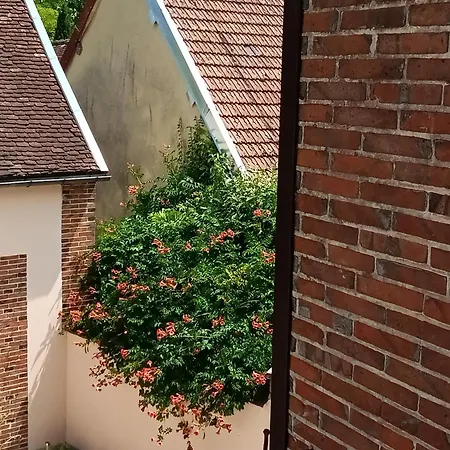 Sur La Route Touristique Du Champagne Sézanne
